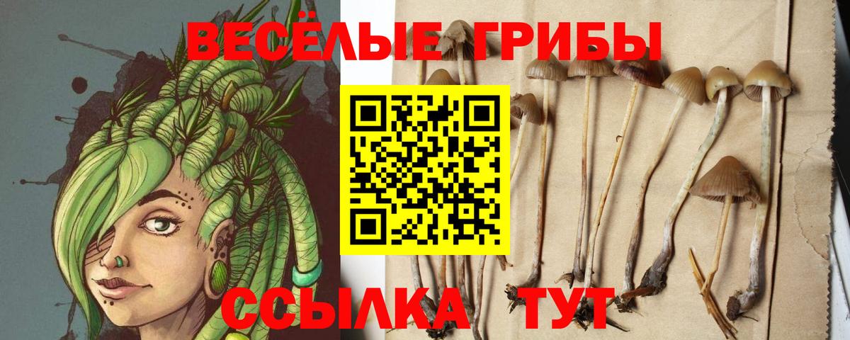 Псилоцибиновые грибы Psilocybine cubensis  Вход с VPN  Псилоцибиновые грибы MAGIC MUSHROOMS  Азов 